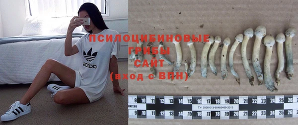 дурь Новокубанск