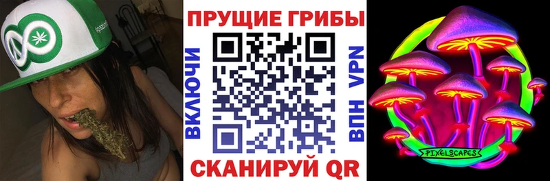 Галлюциногенные грибы Psilocybe  Купить где  Калач 